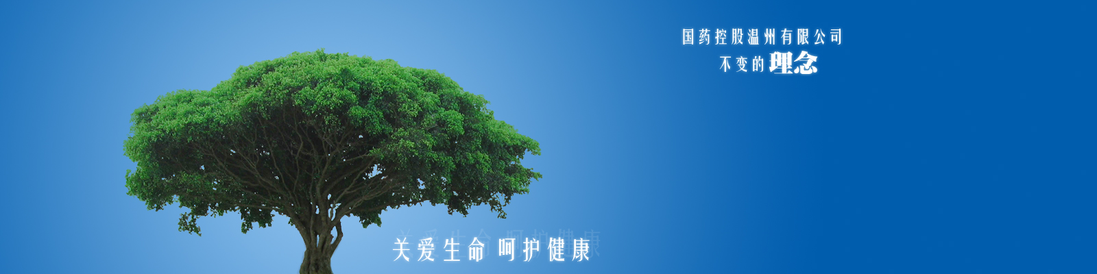 泥漿凈化系統(tǒng)